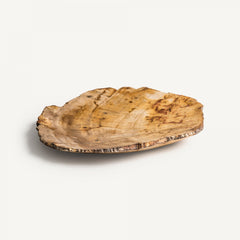 Vide-poche en bois fossilisé